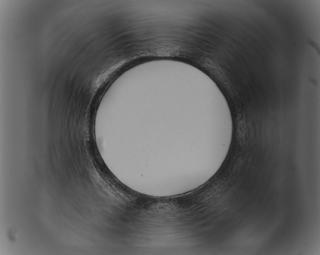 X0000100870536200807181238