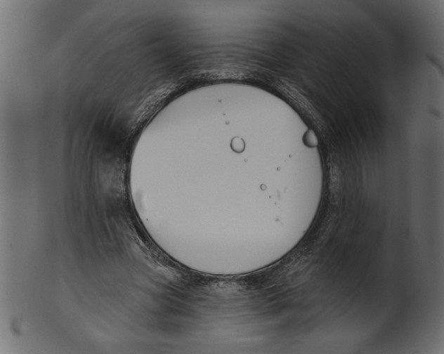 X0000100870537200807181238