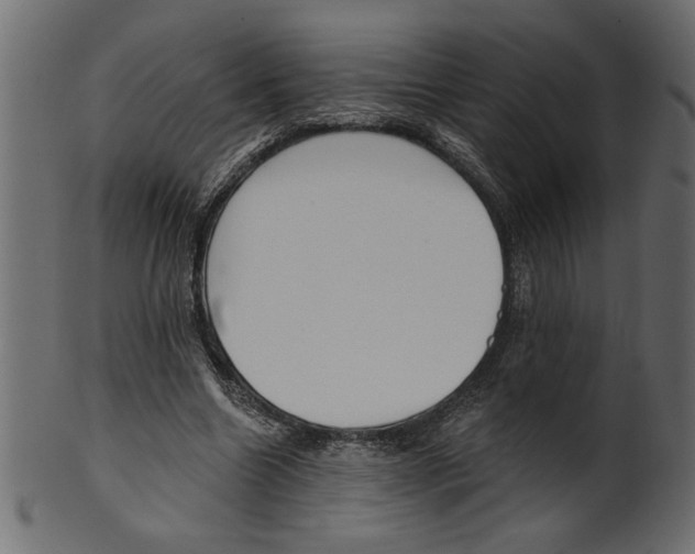 X0000100870538200807181238
