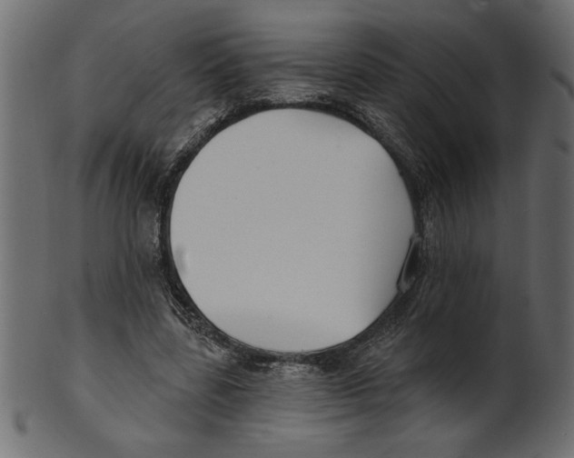 X0000100870539200807181238