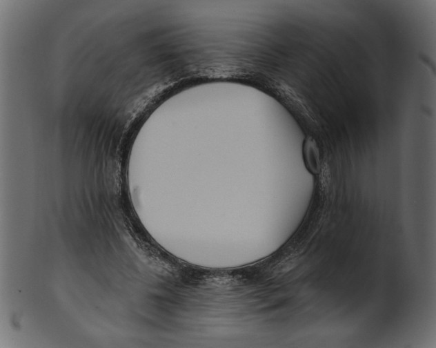 X0000100870540200807181238