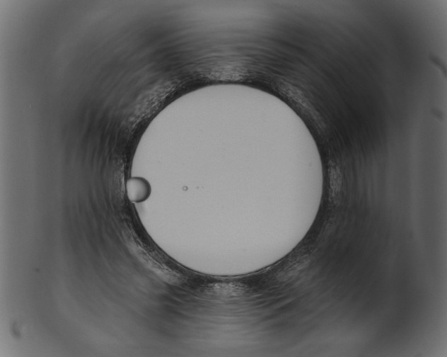 X0000100870541200807181238