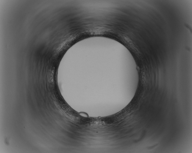X0000100870543200807181238