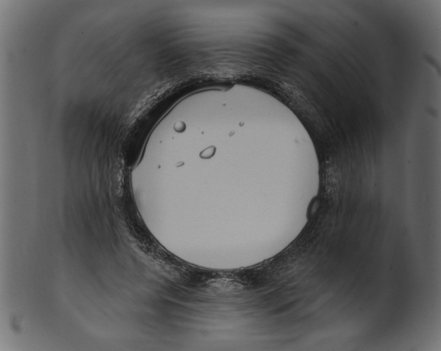 X0000100870544200807181238