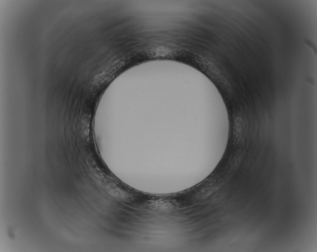 X0000100870545200807181238