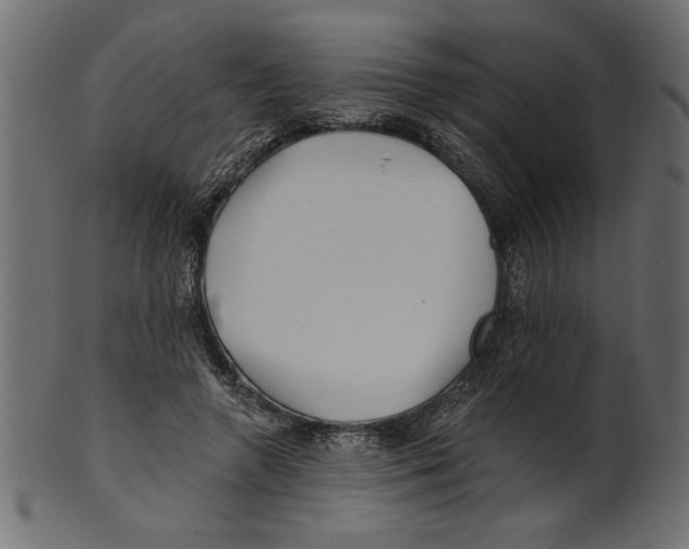 X0000100870546200807181238
