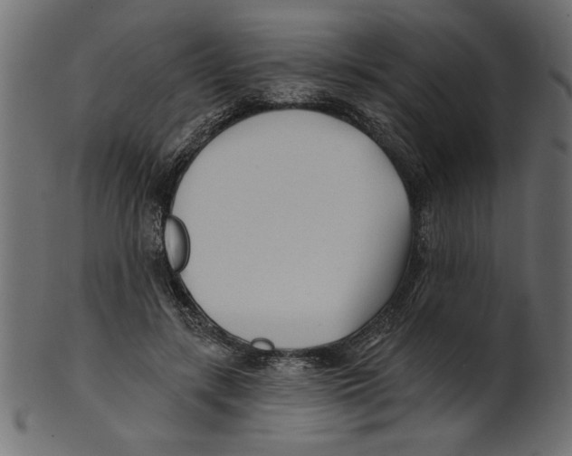 X0000100870547200807181238