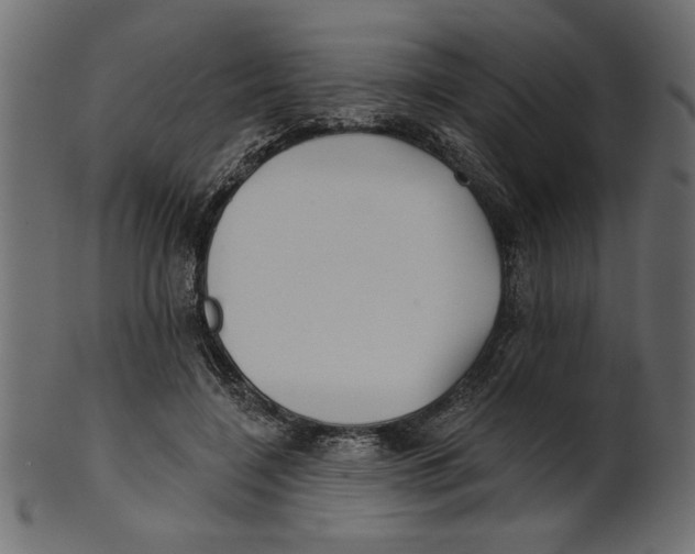 X0000100870548200807181238