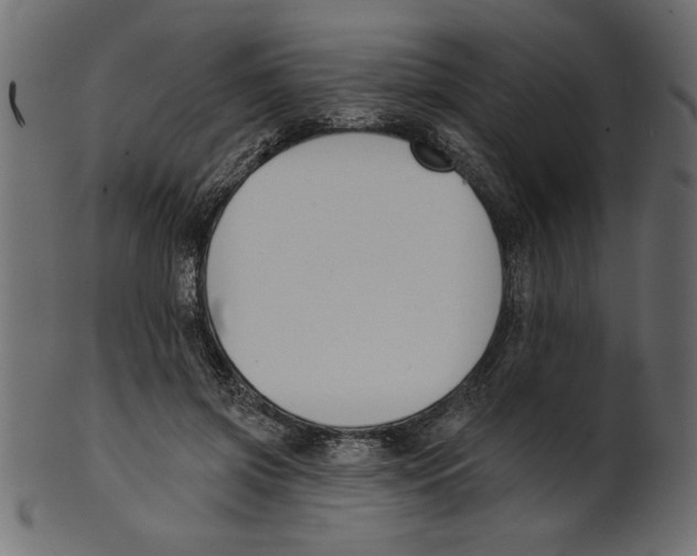 X0000100870549200807181238