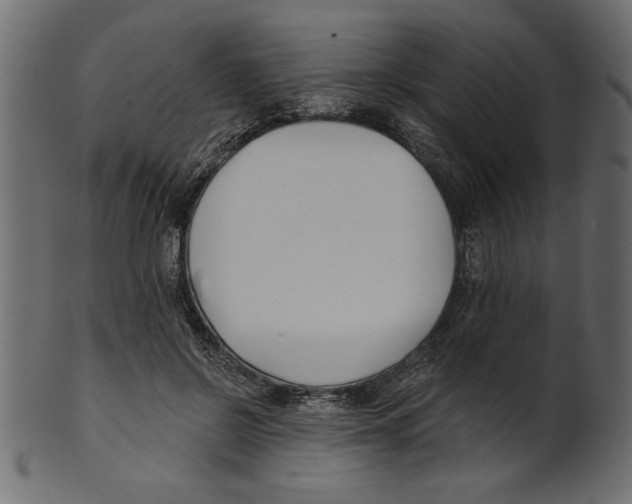 X0000100870550200807181238