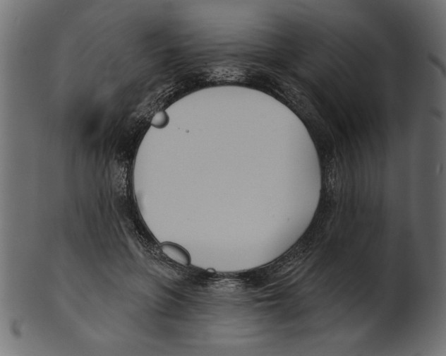 X0000100870551200807181238