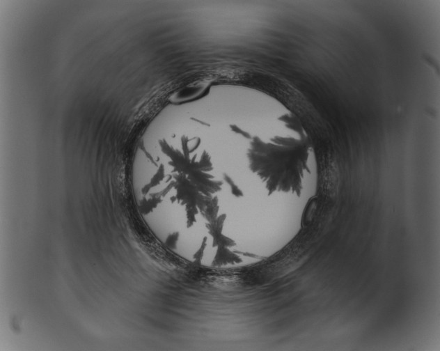 X0000100870552200807181239