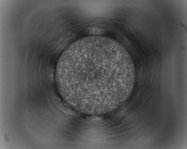 X0000100870553200807181239