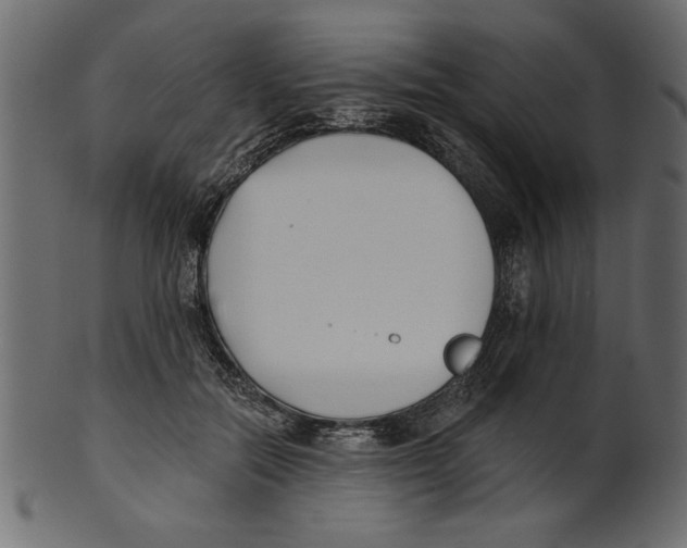 X0000100870554200807181239