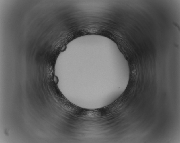 X0000100870555200807181239