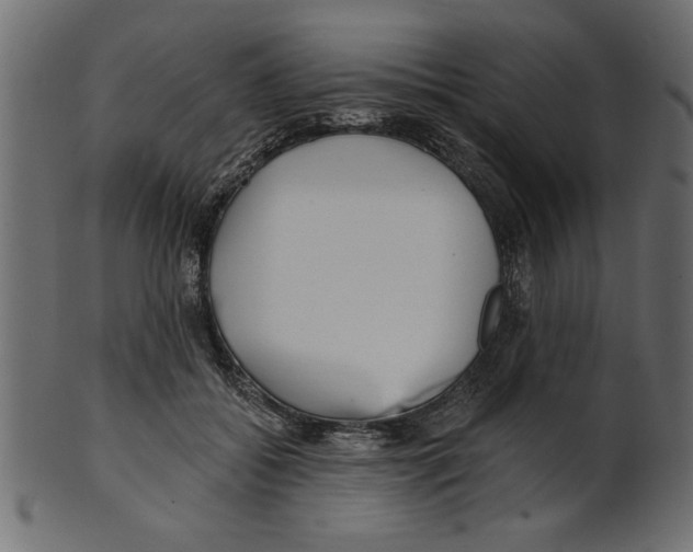 X0000100870556200807181239