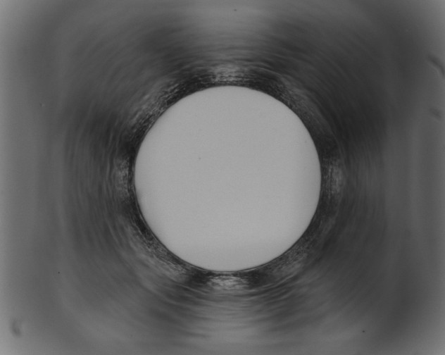 X0000100870557200807181239