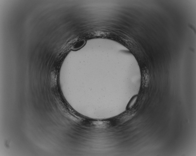X0000100870558200807181239