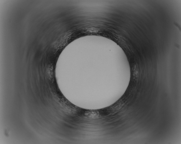 X0000100870559200807181239