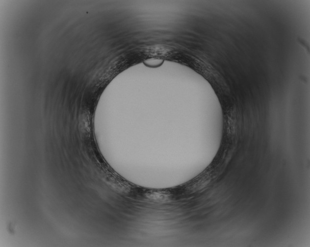 X0000100870561200807181239
