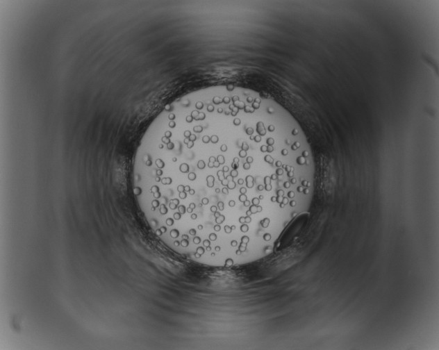X0000100870562200807181239