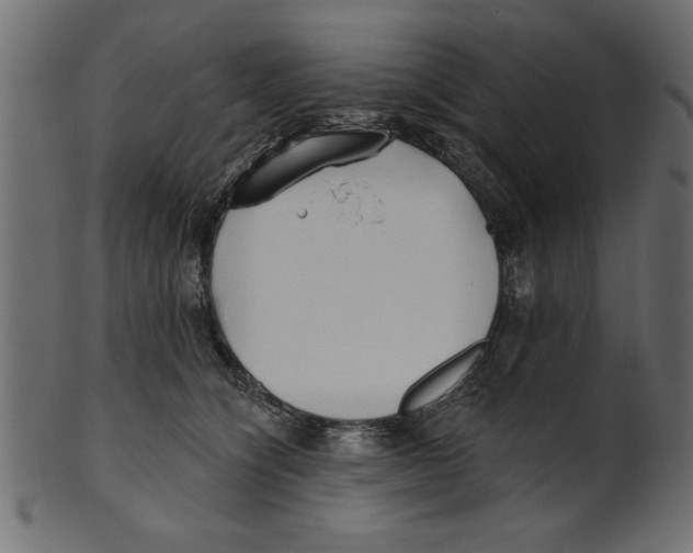 X0000100870564200807181239