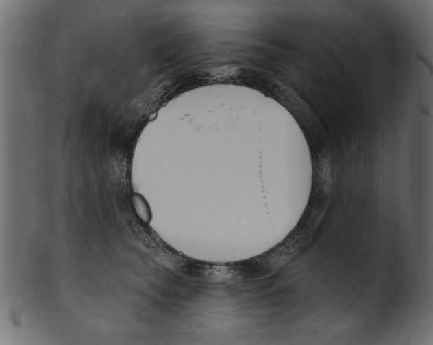 X0000100870565200807181239