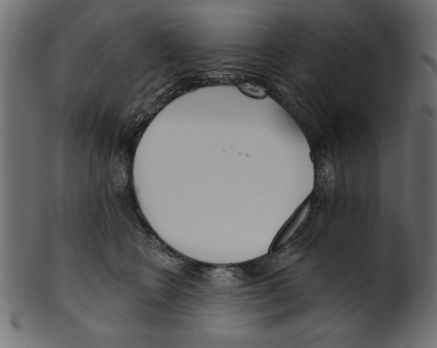 X0000100870566200807181239