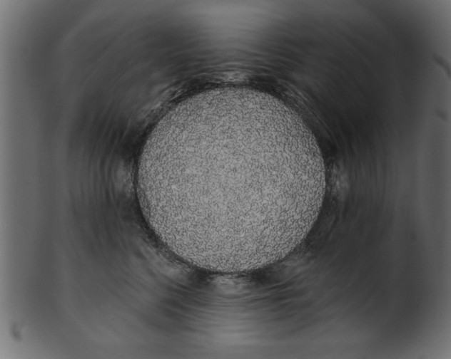 X0000100870568200807181239