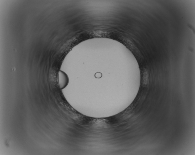 X0000100870569200807181239
