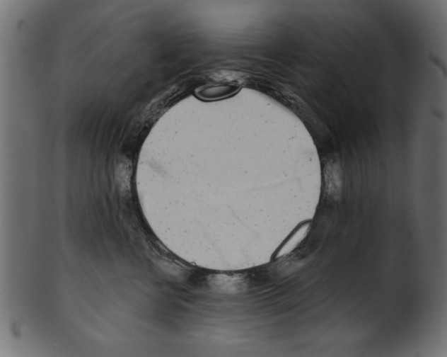 X0000100870570200807181239