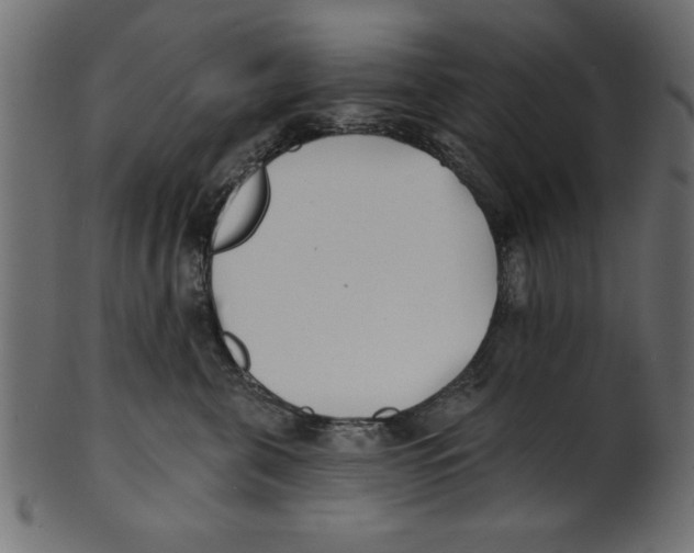 X0000100870571200807181239