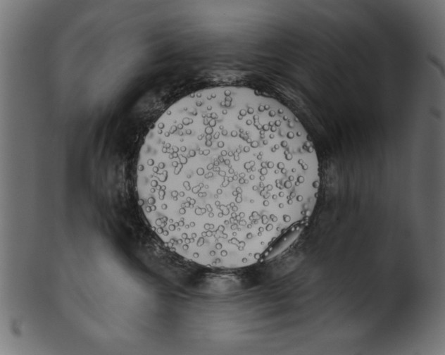 X0000100870572200807181239