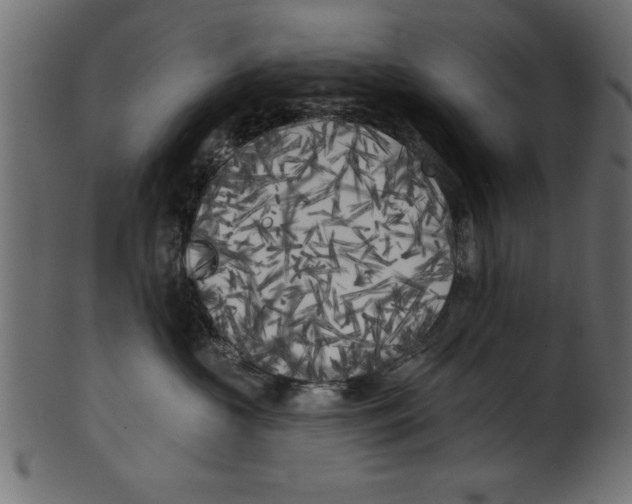 X0000100870573200807181239