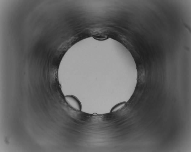 X0000100870574200807181239