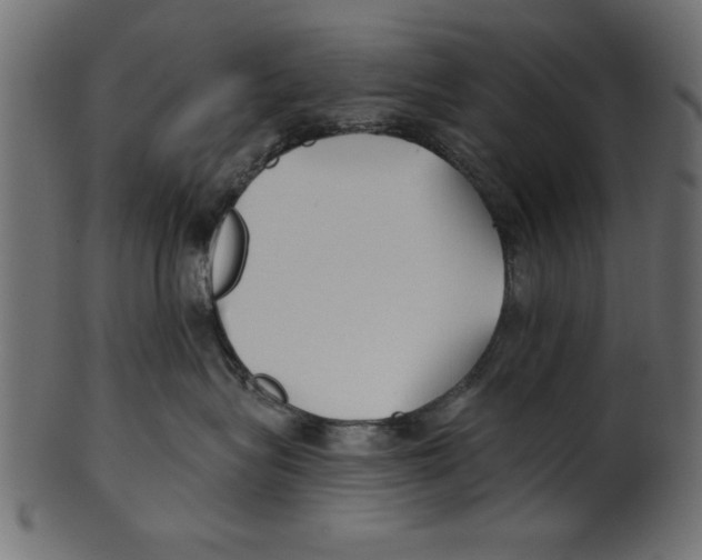 X0000100870575200807181239