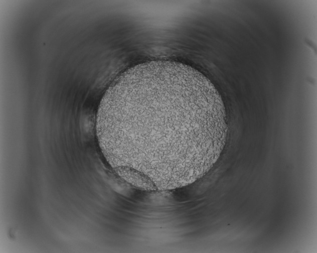X0000100870576200807181239