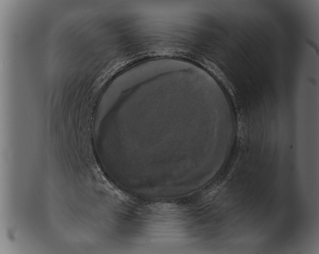X0000100870577200807181238
