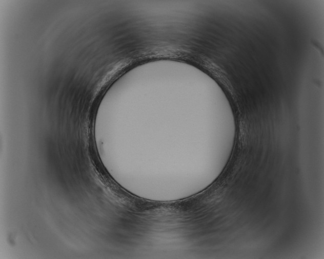 X0000100870578200807181238