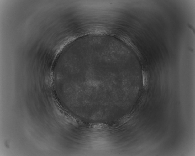 X0000100870579200807181238
