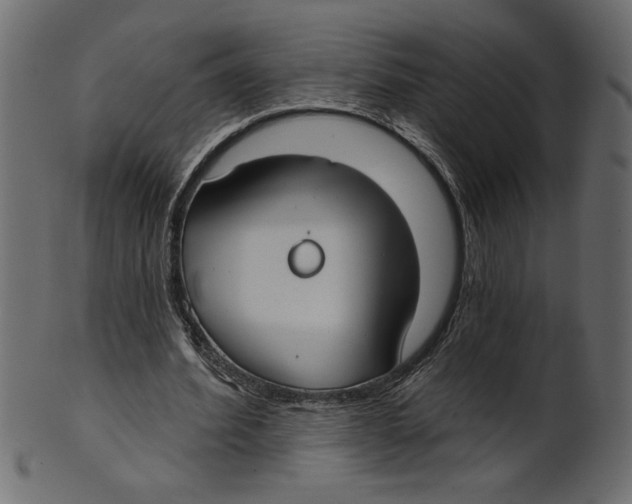 X0000100870580200807181238