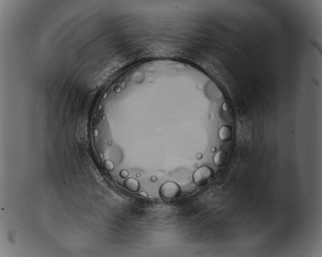 X0000100870581200807181238