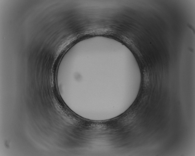 X0000100870582200807181238