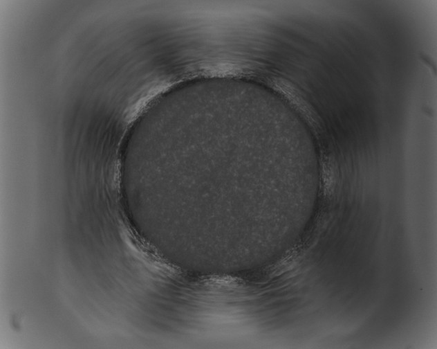 X0000100870583200807181238