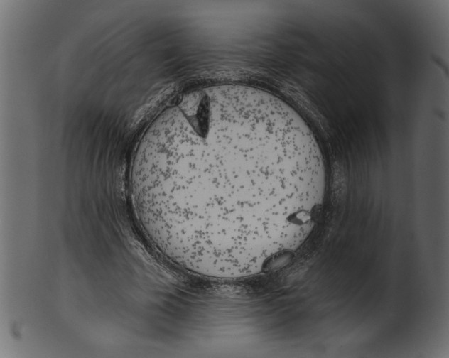 X0000100870585200807181238