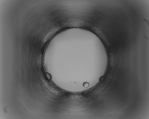 X0000100870586200807181238