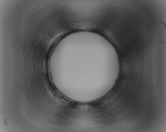 X0000100870587200807181238