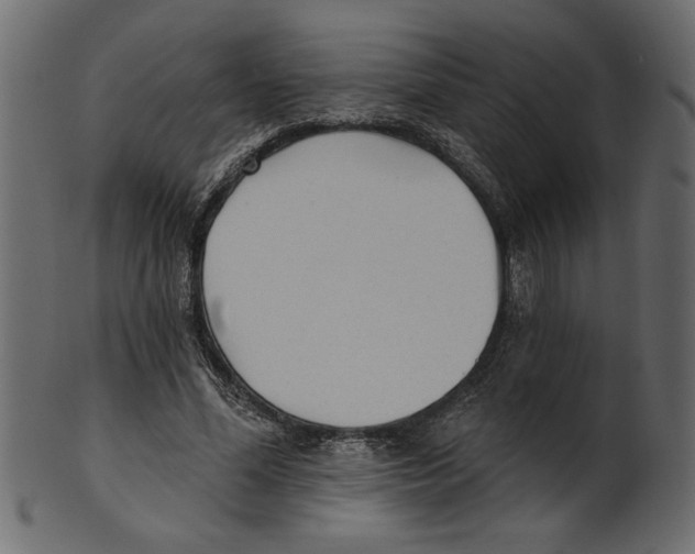 X0000100870588200807181238