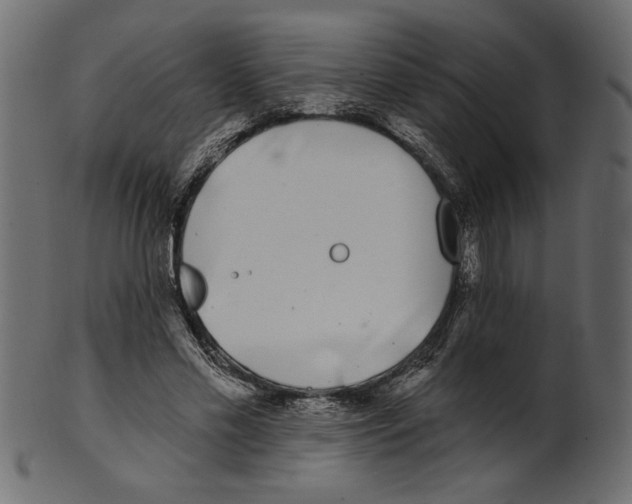 X0000100870589200807181238