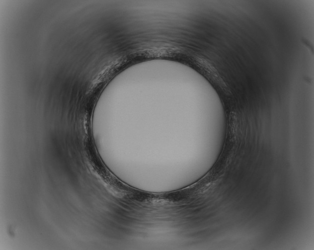 X0000100870590200807181238